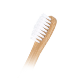 Gleam Kids Bamboo Brush GBBK-004C